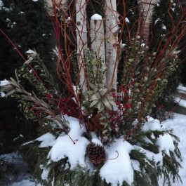 Birch logs in Winter Urn