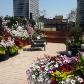 Summer Displays on Chicago Rooftop
